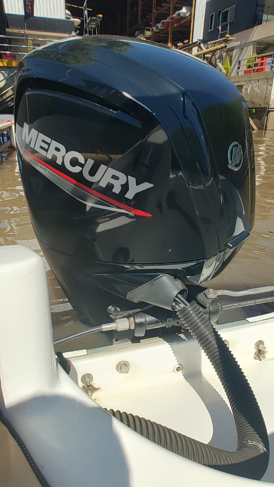 Arco Iris 18 2020 Mercury 115 4 t